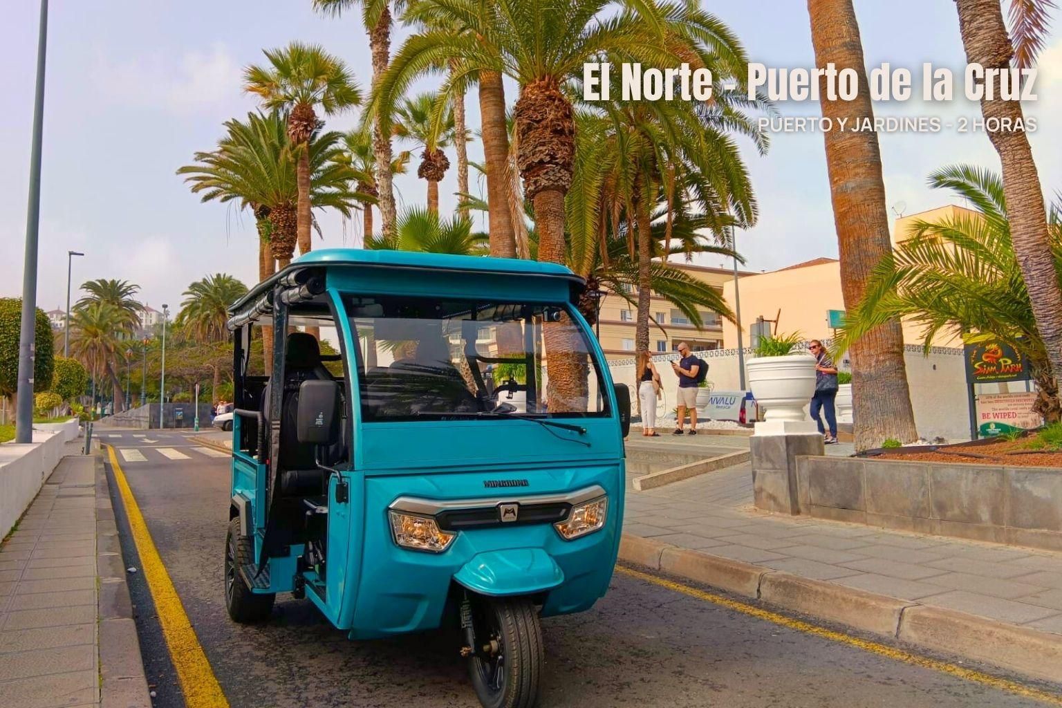 Norden Teneriffas: „Puerto de la Cruz und Jardines“ mit dem Tuk-Tuk (2 Stunden)