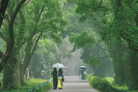 South China Botanical Garden Pass: Rare Flora & Forests