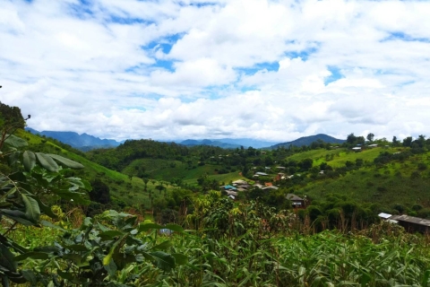 Chiang Mai : Excursion d'une journée à la découverte de 5 tribus des collinesExcursion d'une journée en van à la découverte des 5 tribus des collines