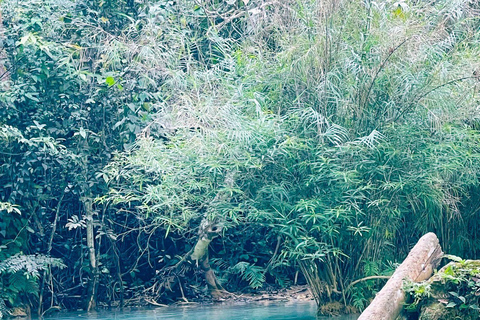 Luang Prabang: Hmong Elephant Village Kuangsi Waterfall Tour