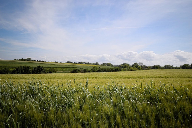 Normandy D-Day Beaches: Small Group Tour from Paris