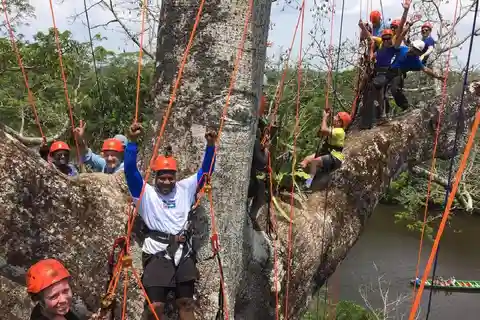 Manaus: Aventura Escalando Árboles