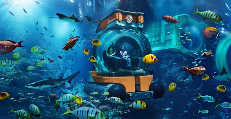 Abu Dhabi:SeaWorld Entry Ticket & Optional Experiences photo 5