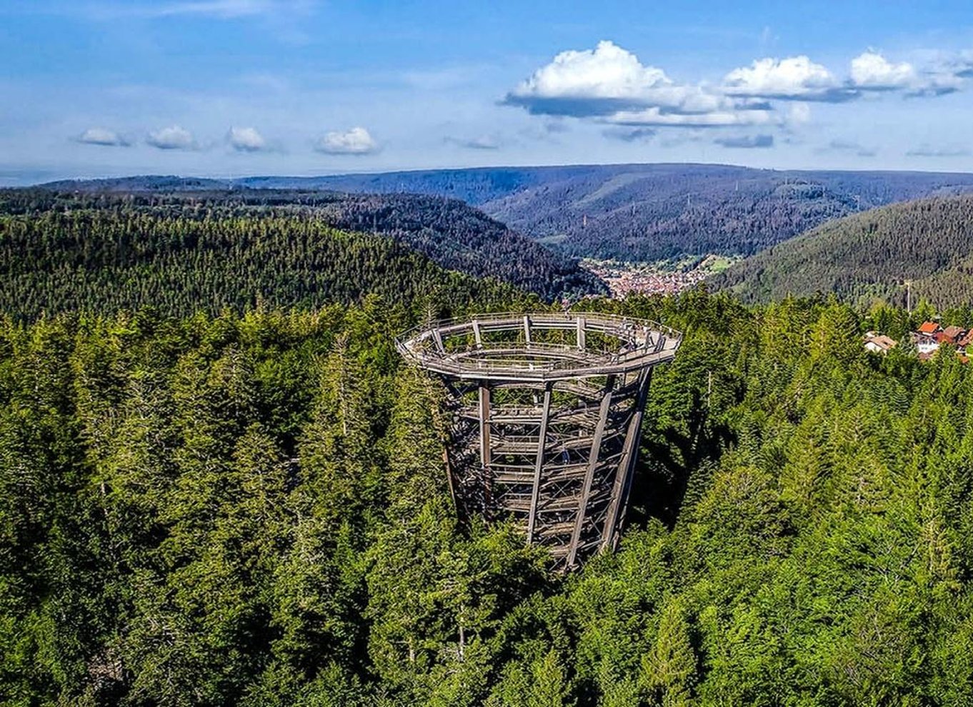 Schwarzwald: Treetop Walk & Lookout Tower Experience