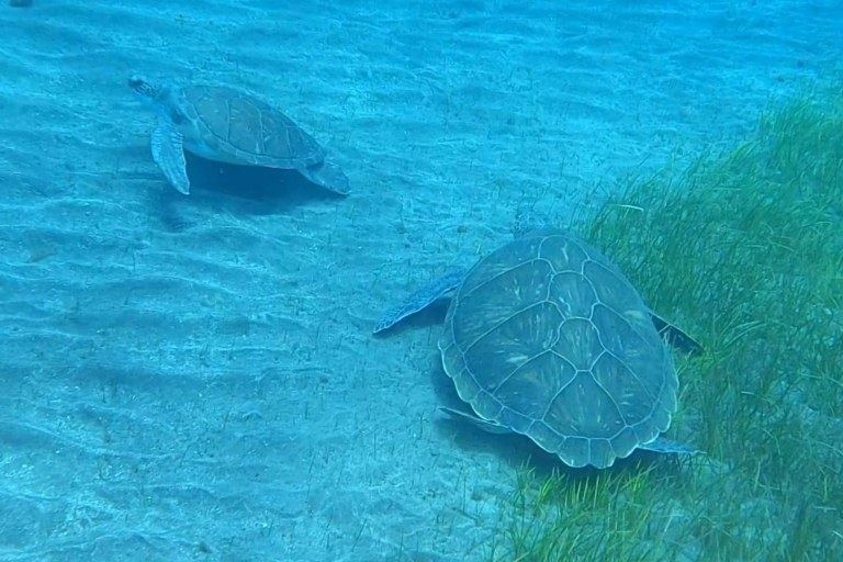 Abades: Excursión de snorkel en una zona marina protegida