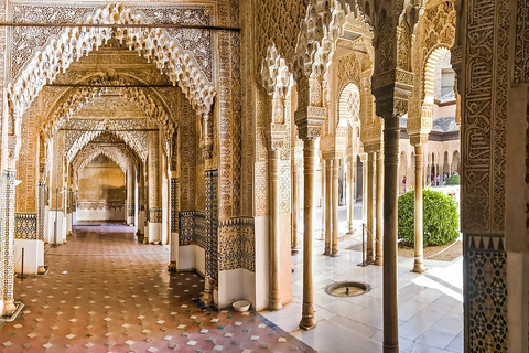 Granada: Alhambra & Nasrid Palaces Tour with Tickets Private Tour in French