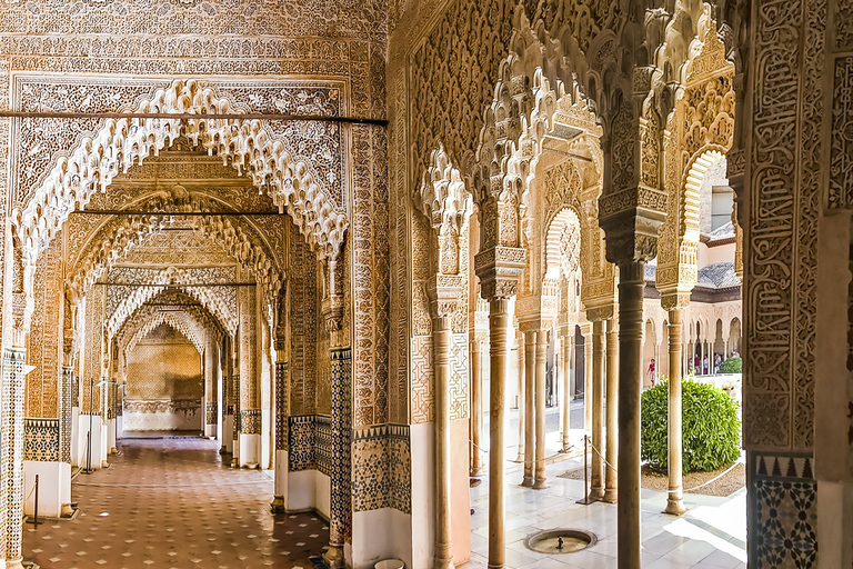 Granada: Alhambra & Nasrid Palaces Tour with Tickets Tour in Italian for 10 People