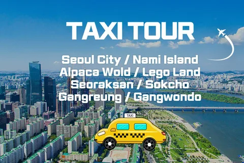 Seoul: Private Taxi Tour Car Charter - Nami Alpaca Seorak