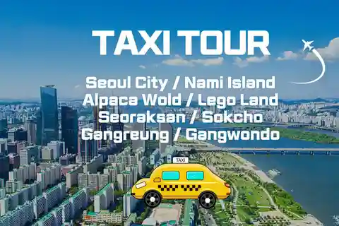 Seoul: Private Taxi Tour Car Charter - Nami Alpaca Seorak