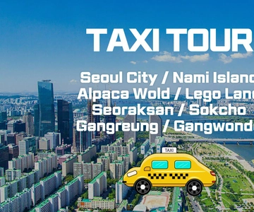Seoul: Privétaxi-tour met auto - Nami Alpaca Seorak