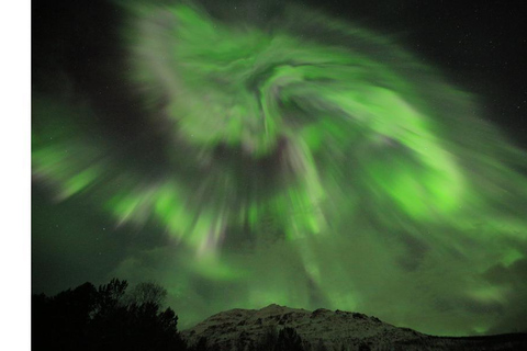 Tromsö: Nordlicht-Verfolgungsjagd im großen Bus mit kostenlosen Fotos