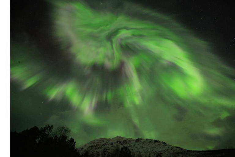 Tromsö: Nordlicht-Verfolgungsjagd im großen Bus mit kostenlosen Fotos