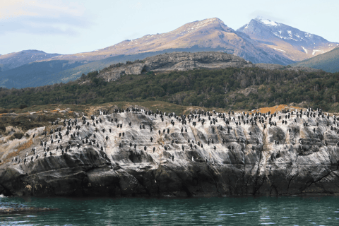 Puerto Natales : navigation vers les glaciers Balmaceda et SerranoPuerto Natales : Navigation vers les glaciers Balmaceda et Serrano