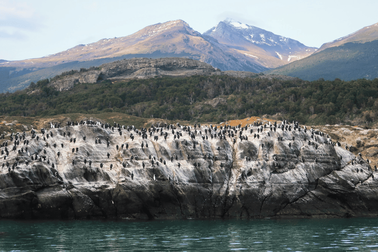 Puerto Natales : navigation vers les glaciers Balmaceda et SerranoPuerto Natales : Navigation vers les glaciers Balmaceda et Serrano