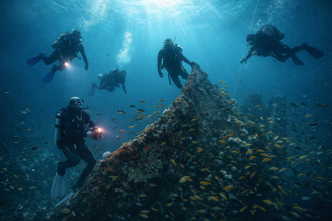 From Durban: Aliwal Shoal Shark Diving Tour with Transfer