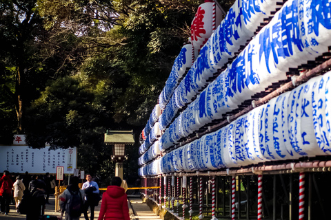 Äventyr i Tokyo: Tsukiji, Ginza, Asakusa, Ueno och Akihabara