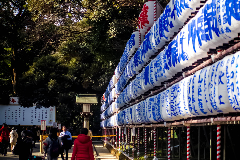 4 heures. Votre aventure idéale d&#039;une demi-journée à Tokyo.