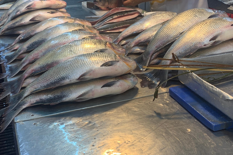 Manaus: Historical City Tour Historical City Tour