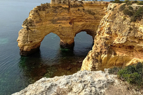 Albufeira - Benagil Caves & Dolphins Boat Tour with Transfer