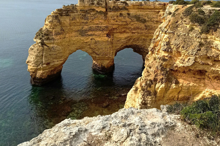 Albufeira - Benagil Caves & Dolphins Boat Tour with Transfer