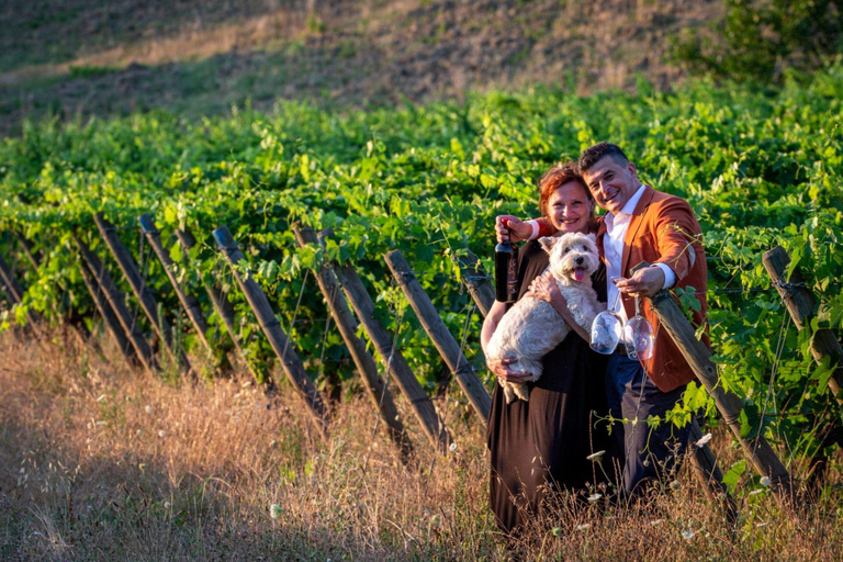 Soiana: tour dei vigneti e della cantina con degustazione di vini vicino a PisaInglese