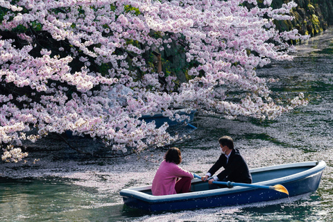 Tokyo Full Day Private Sightseeing Tour with English Driver