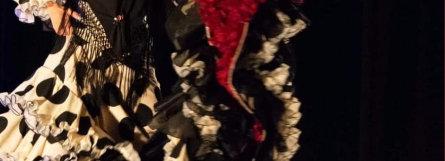 Dîner et spectacle de flamenco classé au patrimoine mondial de l'UNESCO, en minibus privé depuis Alicante.