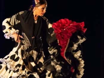 Visita il Castello di Santa Barbara ad Alicante e lo spettacolo di flamenco, con van privato.