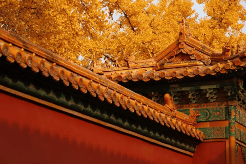 The Forbidden City + Jingshan Park (English Tour Guides)