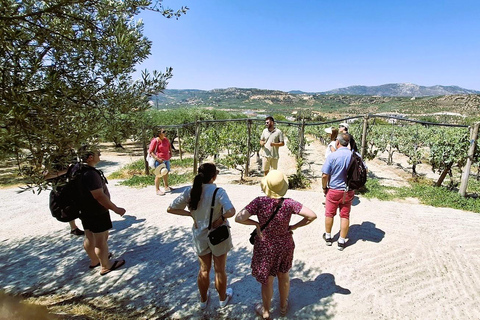 Kreta: Pałac Knossos, winiarnia i oliwa z oliwek z lunchem