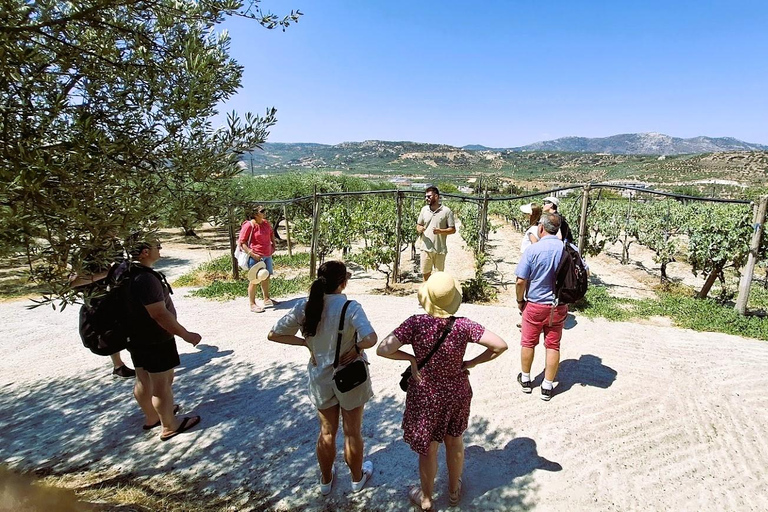 Kreta: Pałac Knossos, winiarnia i oliwa z oliwek z lunchem