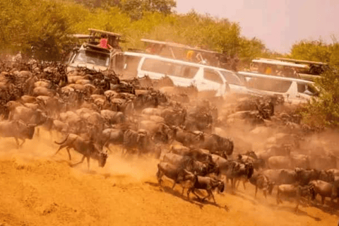 Kenia: 6 Tage Spirit of Kenya Tented Tour