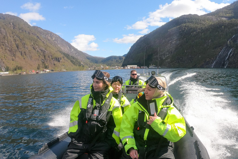 Bergen: Modalen RIB Fjord Safari with Lunch & Transfer