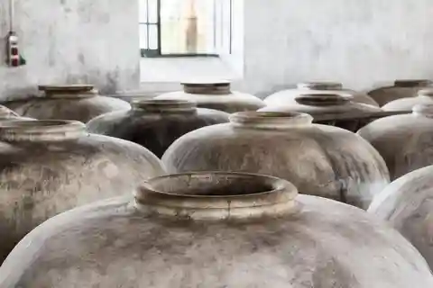 VISITA GUIADA ALMAZARA DE ACEITE Y BODEGA