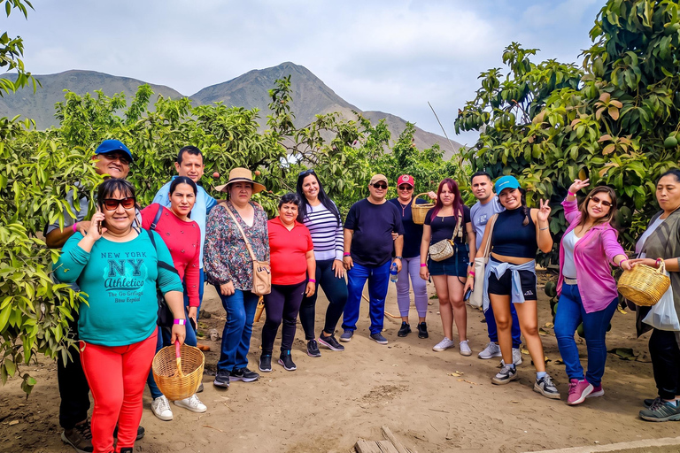 From Lima: Eco Truly Park, Chancay Castle, & Huaral Tour