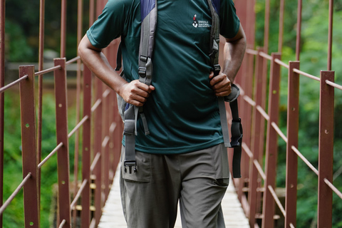 4 Hour Sinharaja Rainforest Tour