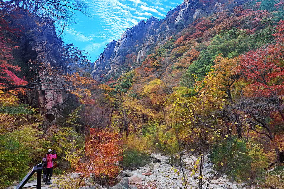 Von Seoul aus Mt. Seorak, Nami und Garten der Tour