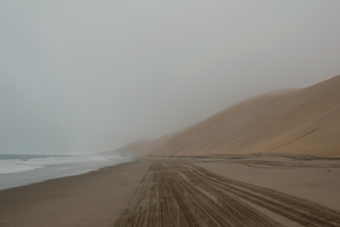 Swakopmund: Namib Desert Sunrise, Seals & Sandwich Harbour