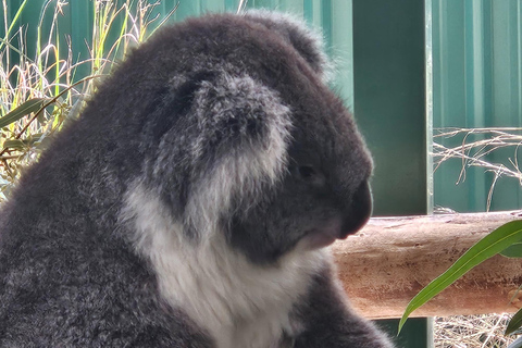 Perth: Caversham Wildlife Park & Swan Valley Tour