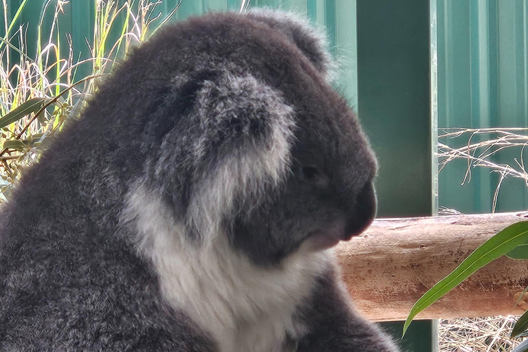 Perth: Caversham Wildlife Park & Swan Valley Tour