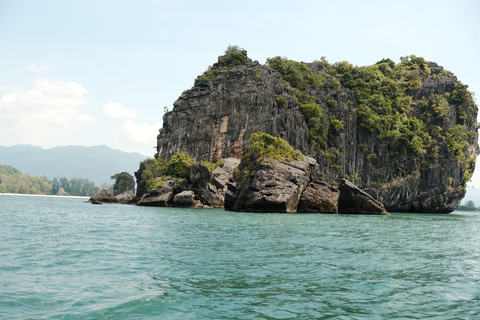 Langkawi : visite privée de 2 heures dans la mangrove avec transfert depuis l&#039;hôtelGroupe de 6 personnes (par bateau)