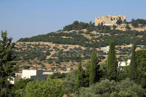 Z Ammanu: Jednodniowa wycieczka do Jerash i Ajloun