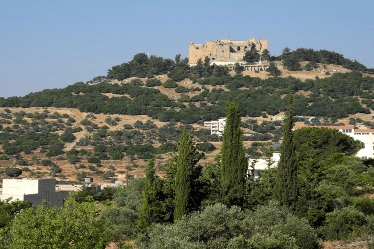 Z Ammanu: Jednodniowa wycieczka do Jerash i Ajloun