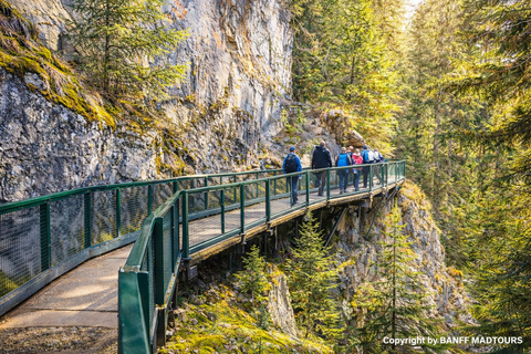 Banff: Lake Louise, Moraine Lake, Johnston, Banff Photo Tour