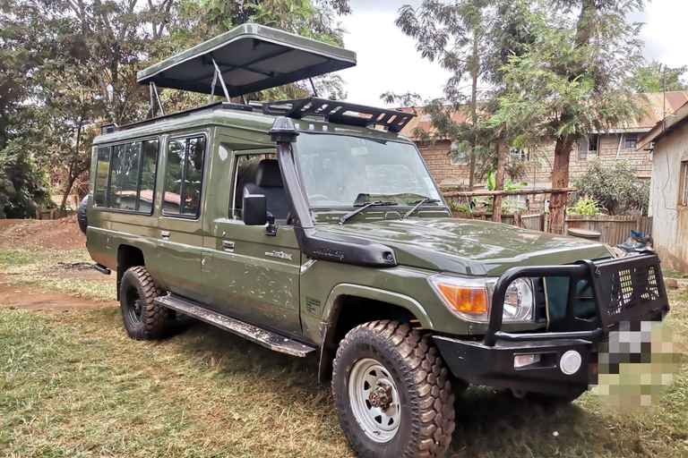 Visite guidée de la ville de Nairobi