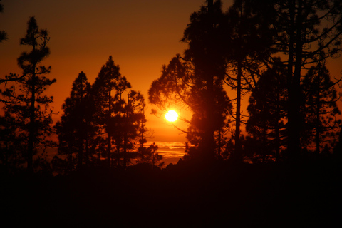Tenerife: Sunset - 3H Buggy tour of Teide SUNSET 2seats