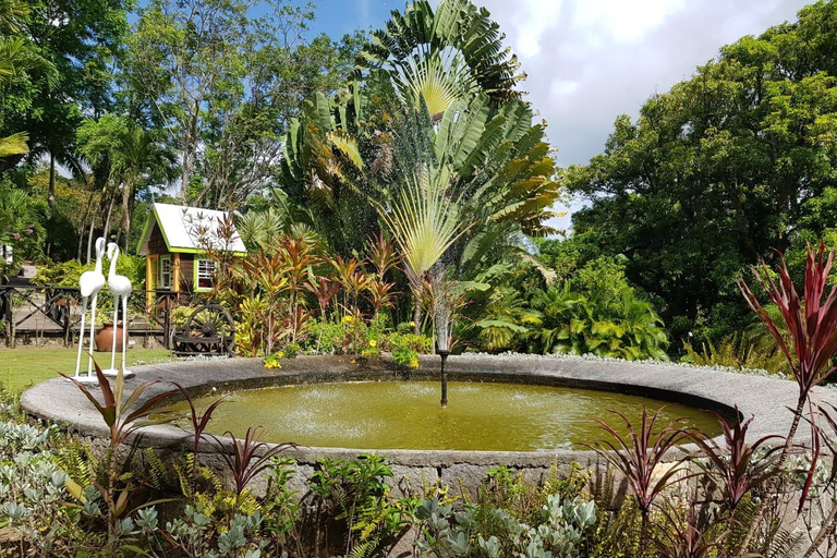 St. Kitts: Cultural Life with Beach Time & Optional Tastings