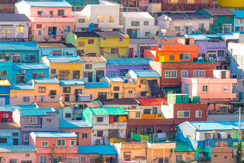 Pusan: prywatna wycieczka dostosowana do Twoich potrzeb – półdniowa/całodniowaCałodniowa prywatna wycieczka po Busan z odbiorem i transportem powrotnym