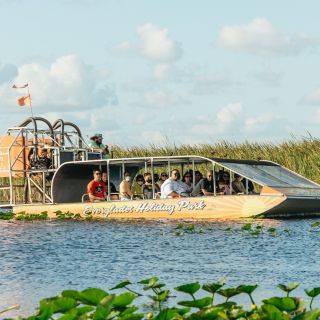 Miami: Everglades Airboat Ride, Wildlife Show & Bus Transfer