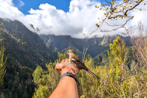 De fantastische Pico do Arieiro - meeslepende ervaring van 4 uur